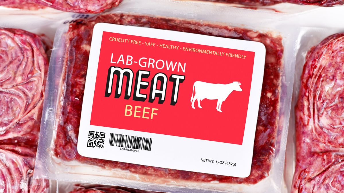 allevamento, controlli, carne, sostenibilità, europa