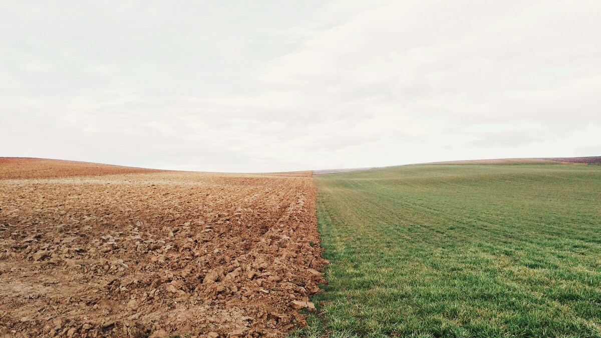 carbon farming suolo agricolo CO2 sostenibilità