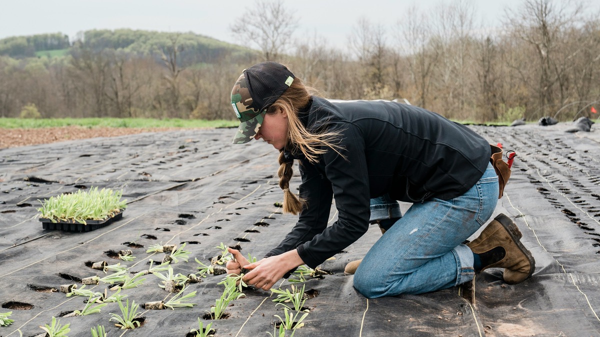 donna imprenditrice agricola campo piantine lavoro