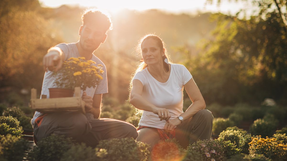 fiori, piante, vivaio, serra, florovivaismo, agricoltura