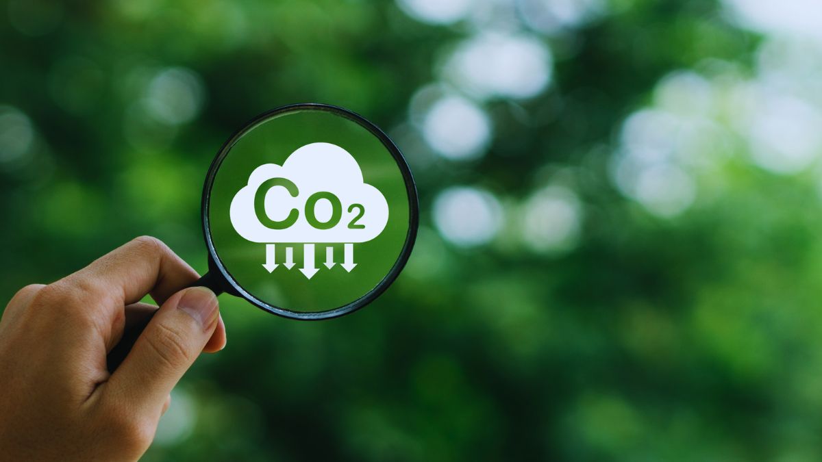 carbon farming sequestro carbonio