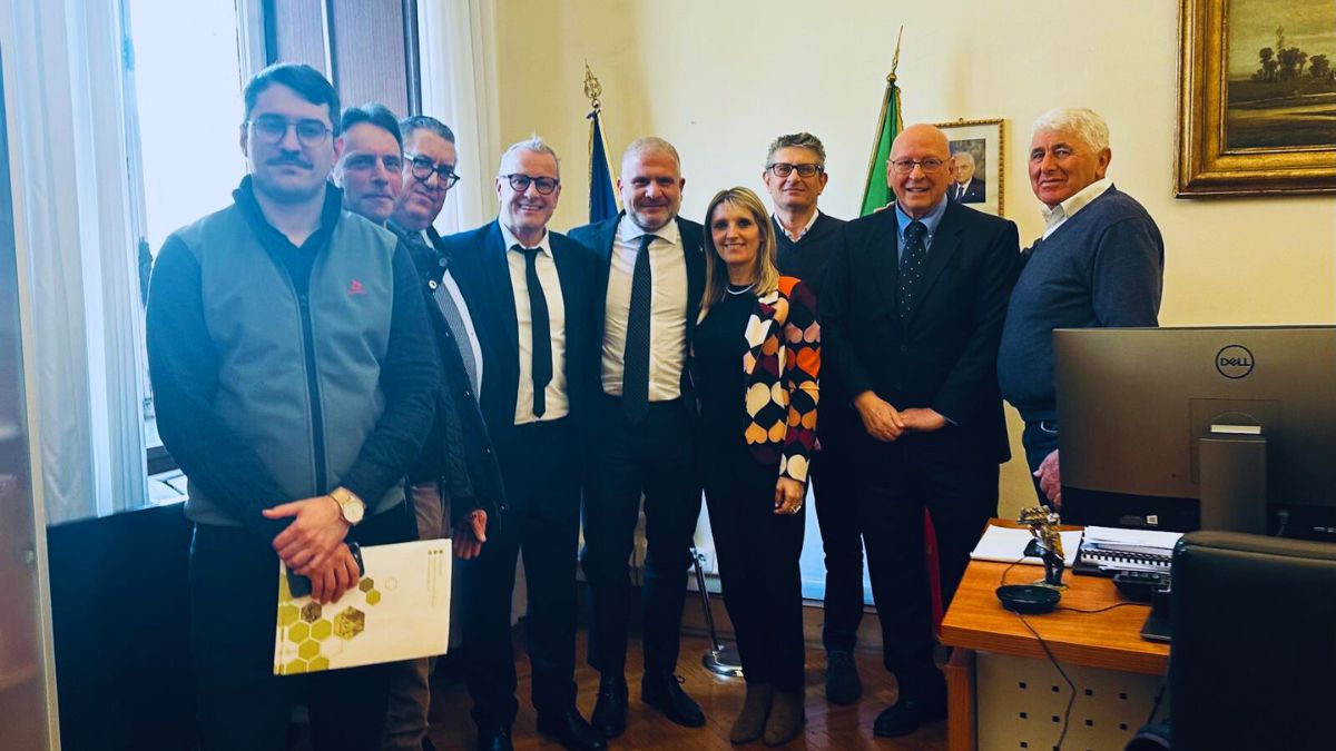 allevamento bovini latte mucche