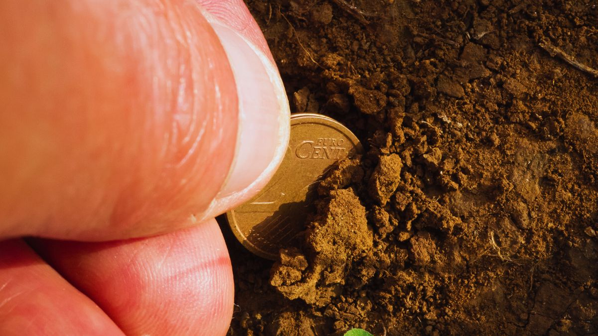 ISTAT agricoltura valore aggiunto PMI agricole