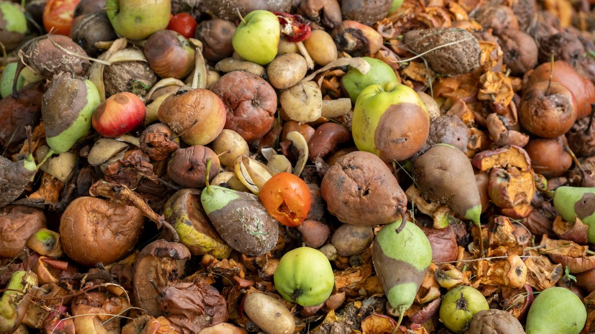 Spreco alimentare AIC Giornata Nazionale prevenzione