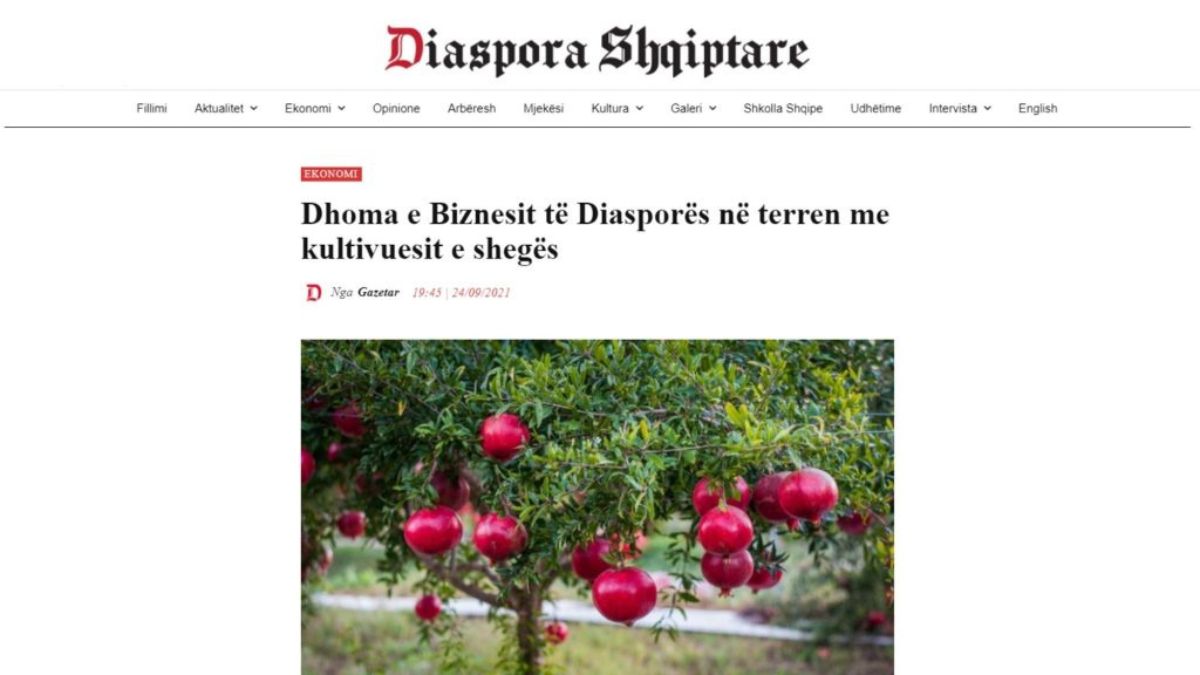melograno coltivazione biologica Albania giovane