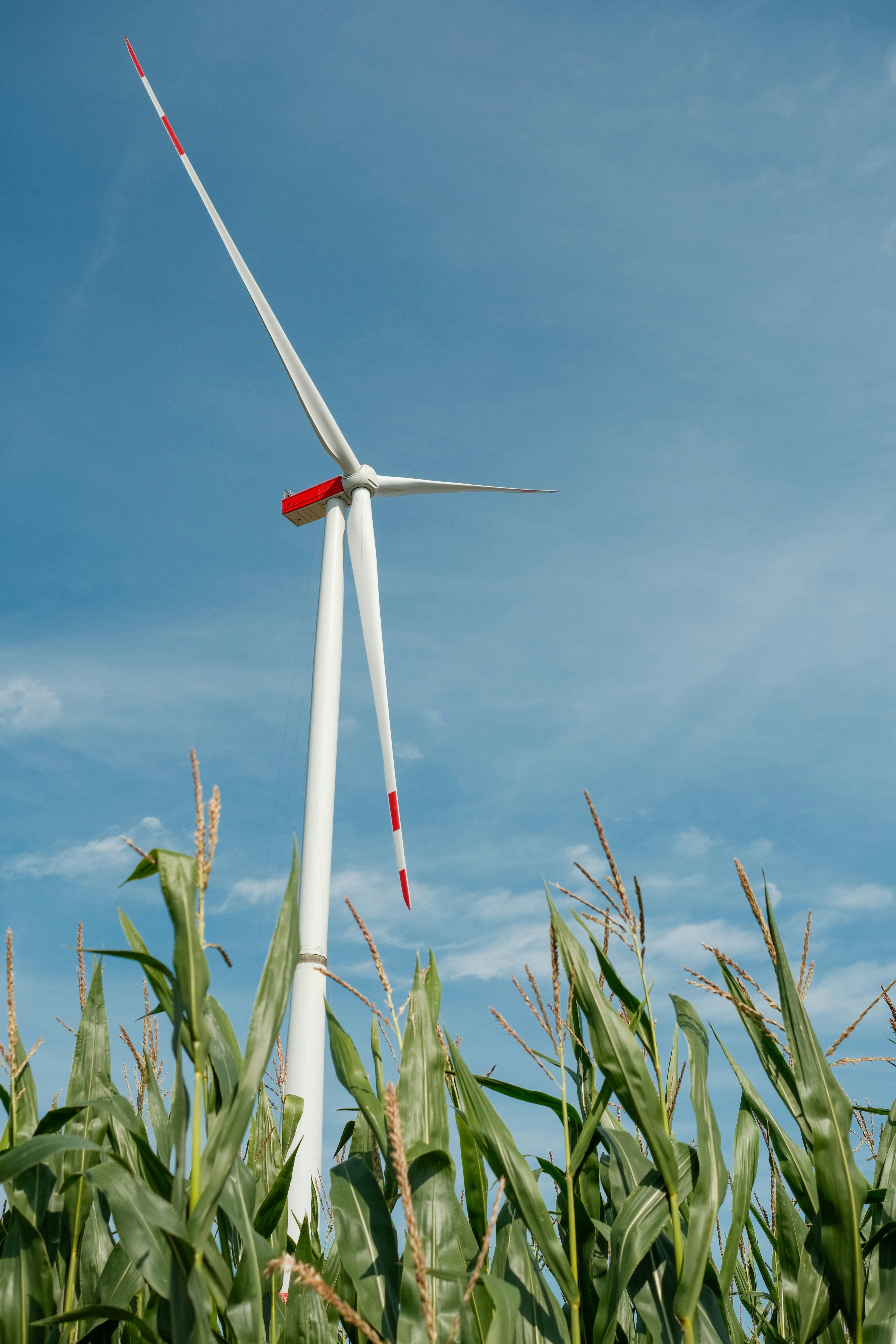 agricoltura 2050 biologico innovazione siccità imprese