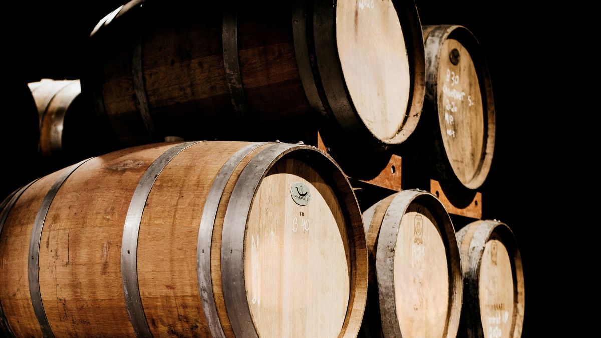 affinamento vino botte legno quercia tostatura enologo