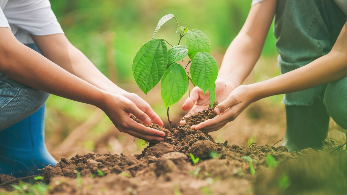 Finanziamenti agricoli, giovani imprenditori, innovazione