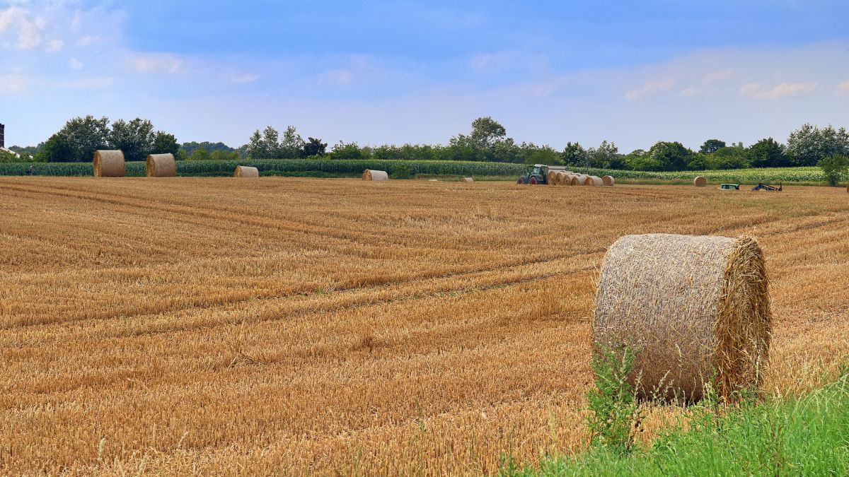 Terreni agricoli, opportunità investimento, innovazione