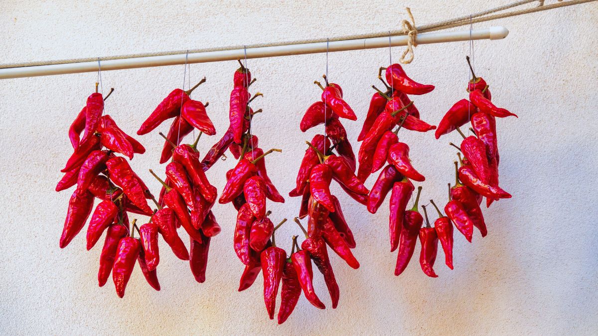 Peperone crusco, tradizione calabrese, gastronomia