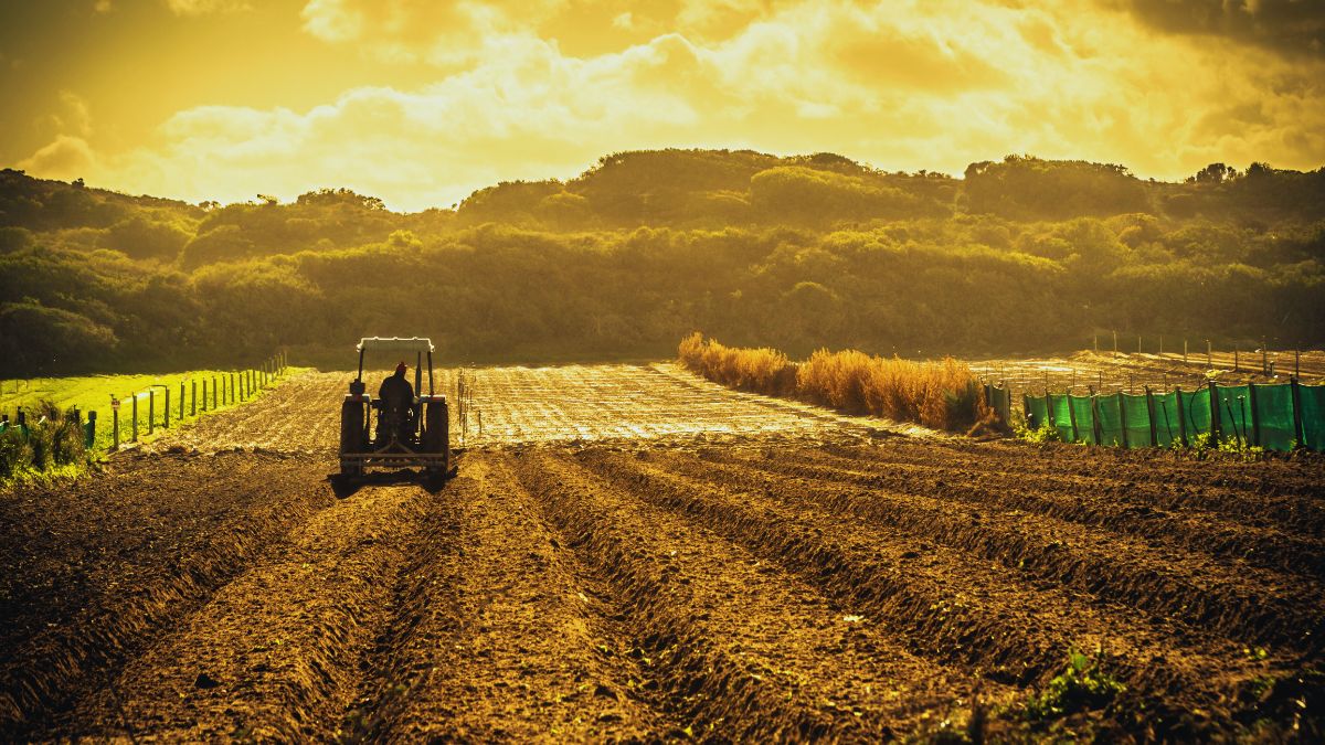 Servizio civile, giovani, agricoltura