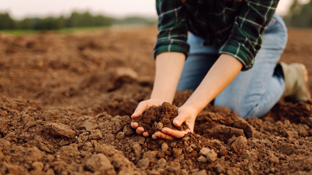 Bando ISI, sicurezza sul lavoro, agricoltura