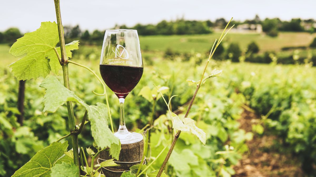 Vino italiano, mercati internazionali, export