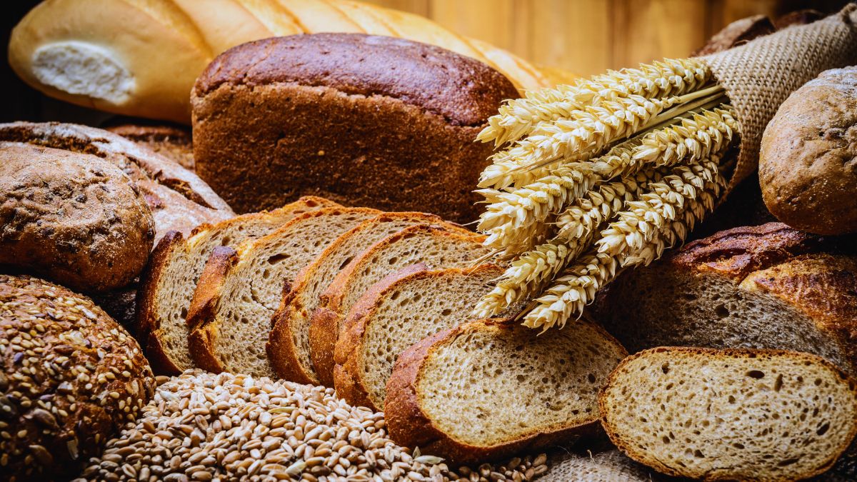 Pane italiano, filiera cerealicola, qualità