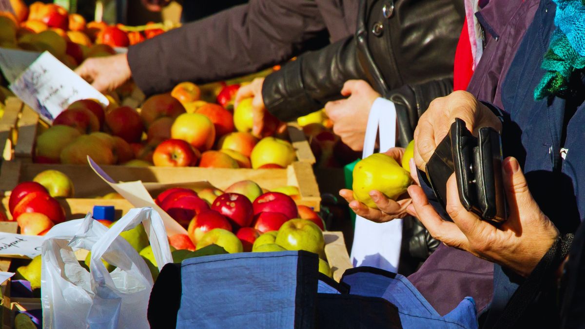 Codice consumo, tutela diritti, trasparenza