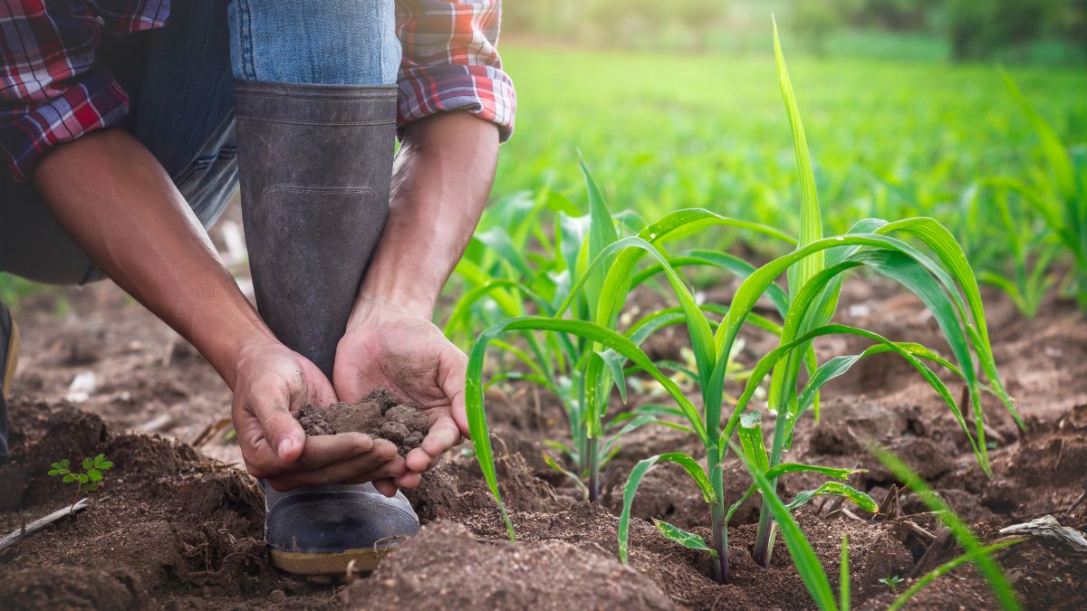 Giovane agricoltore che lavora in un campo verde