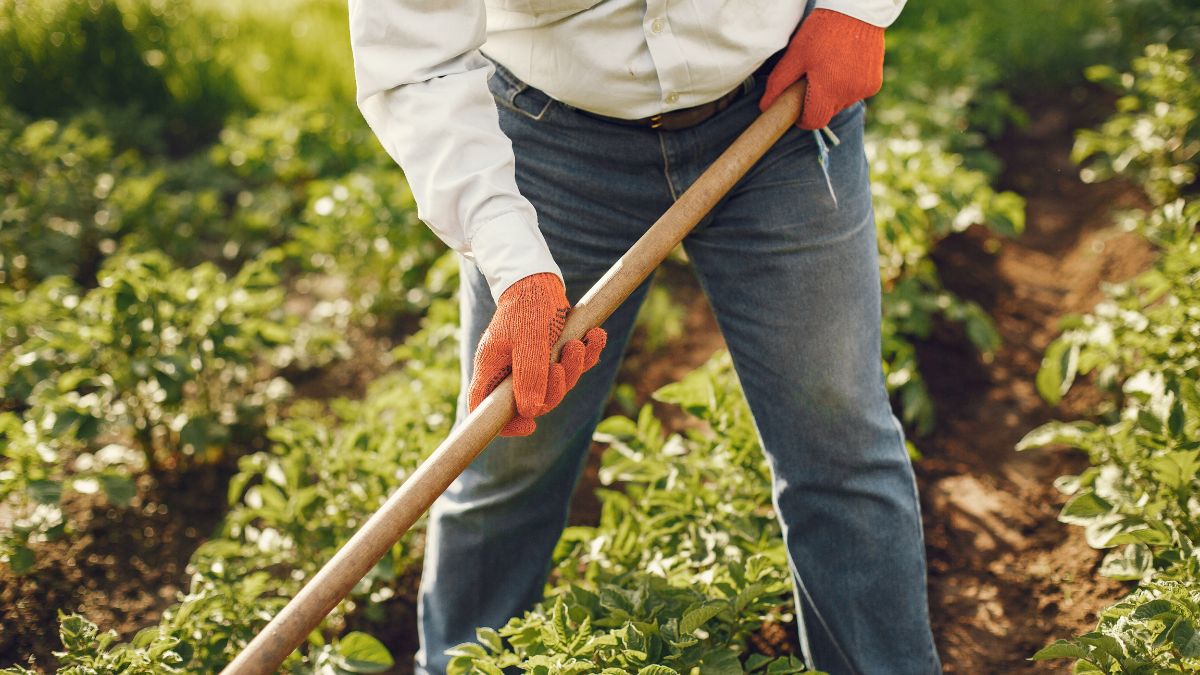 Giovane imprenditrice agricola in campo con coltivazioni