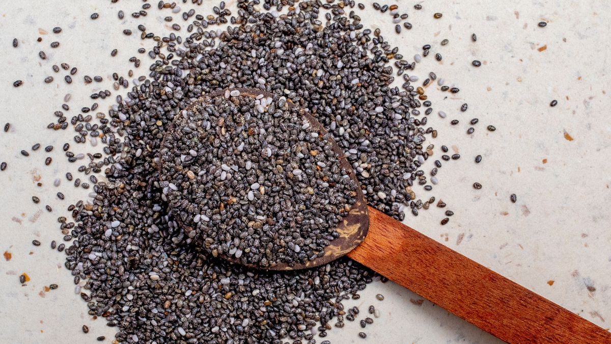 novel food insetti carne coltivata UE EFSA agricoltura