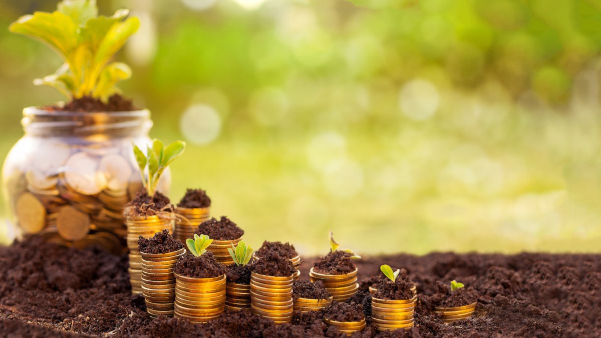 PAC 2023-2027 pagamenti diretti ecoschemi sviluppo rurale UE