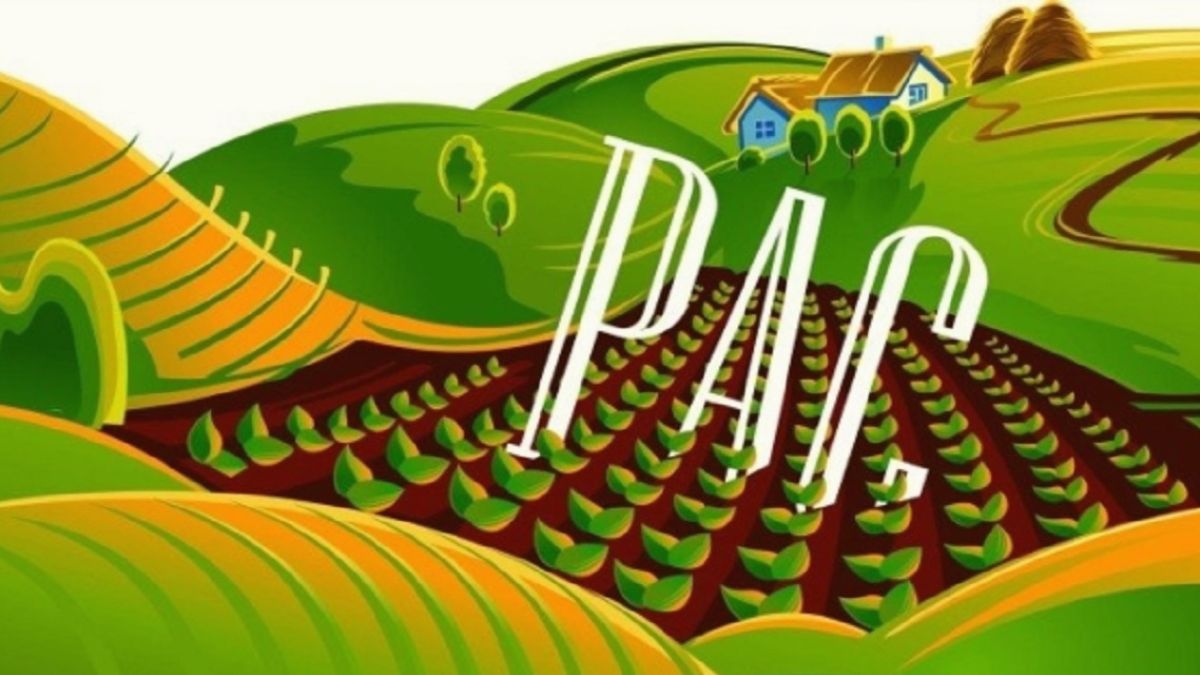 PAC 2023-2027 PSN approvazione UE pagamenti diretti