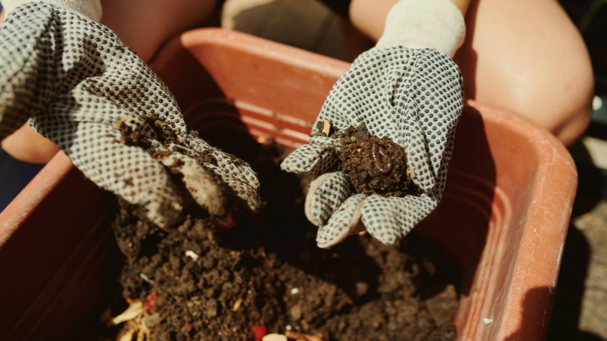 fertilizzanti organici biostimolanti regolamento UE