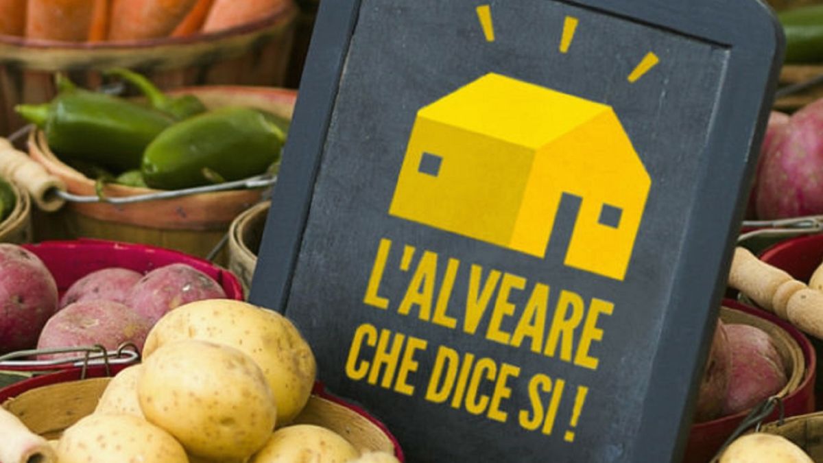 alveare filiera corta startup spesa contadino km0