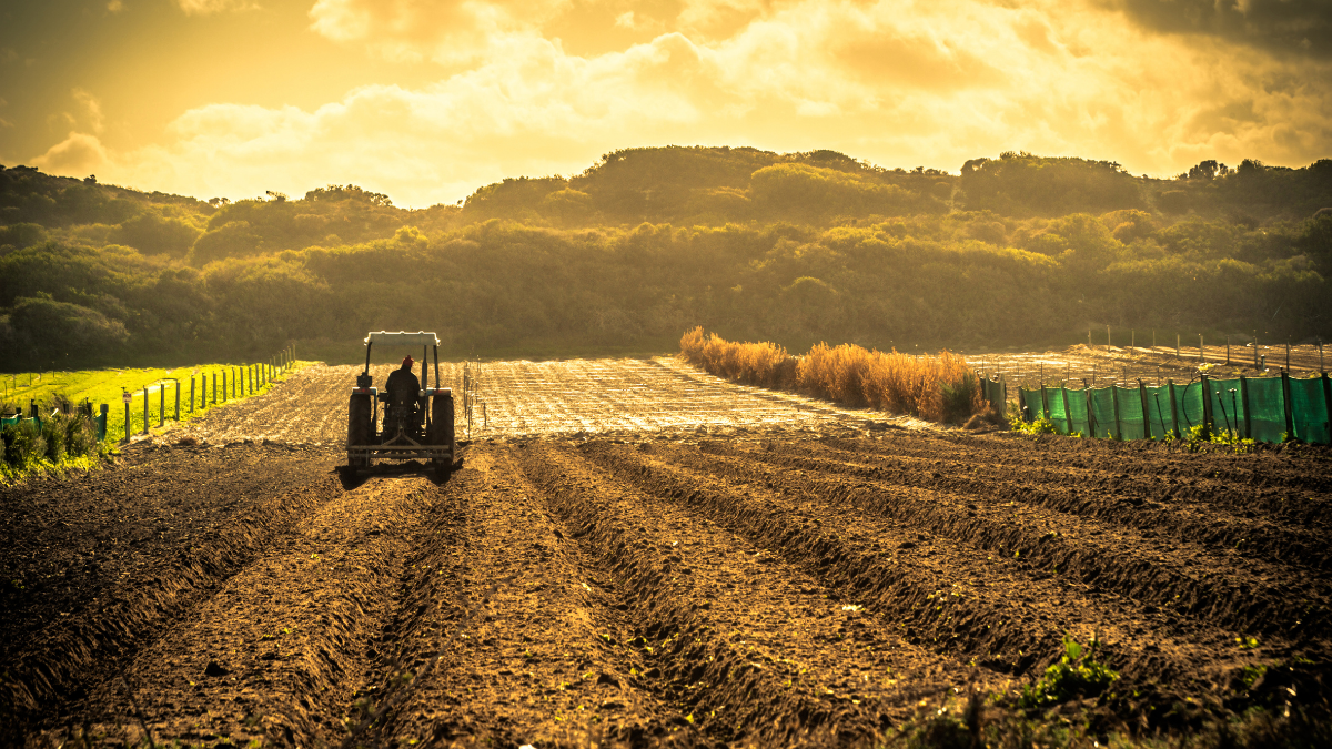 rete lavoro agricolo qualità caporalato concorrenza INPS