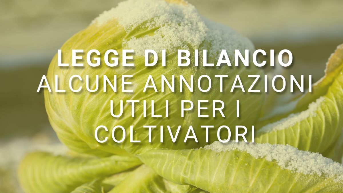 legge bilancio 2022 agricoltura ISMEA CAA AIC misure