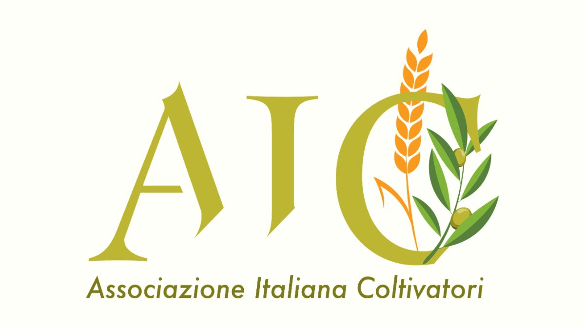tirocinio università AIC social media comunicazione
