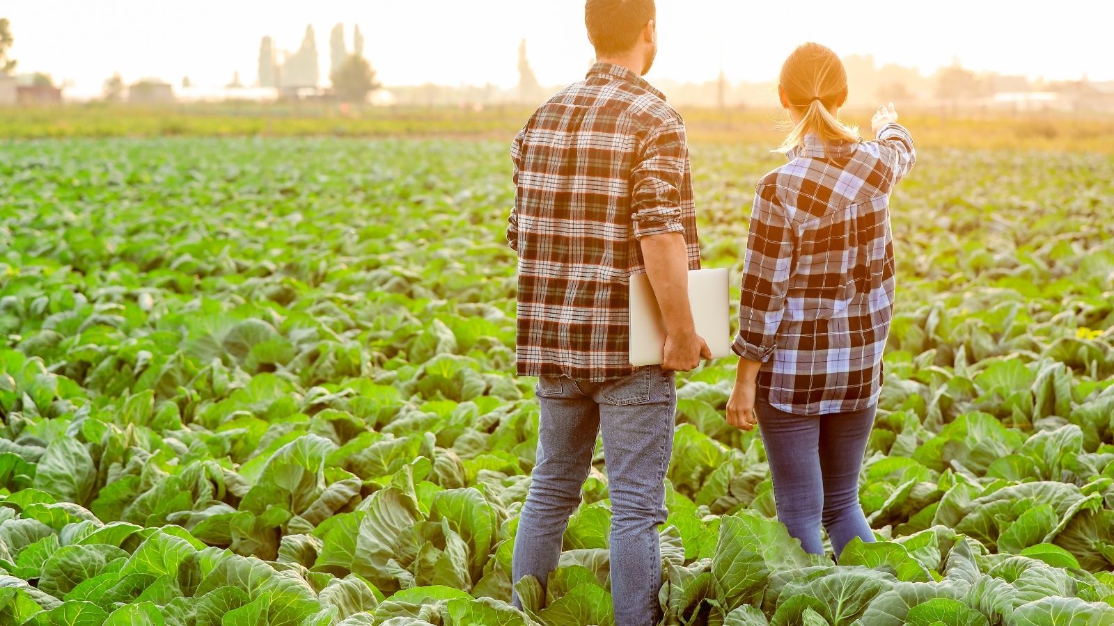 ricambio generazionale agricoltura giovani mutuo fondo