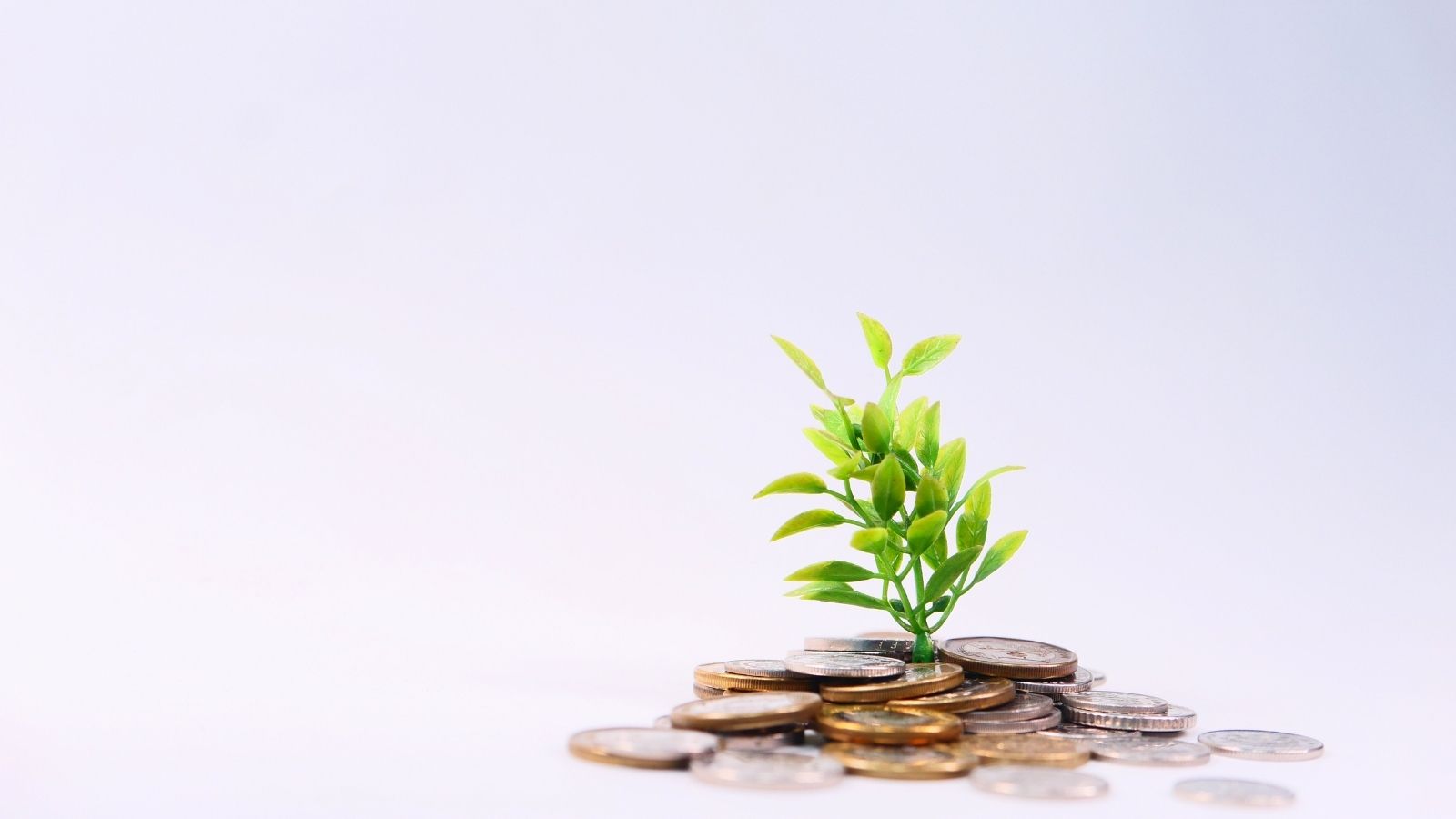 credito imprese agricole banca