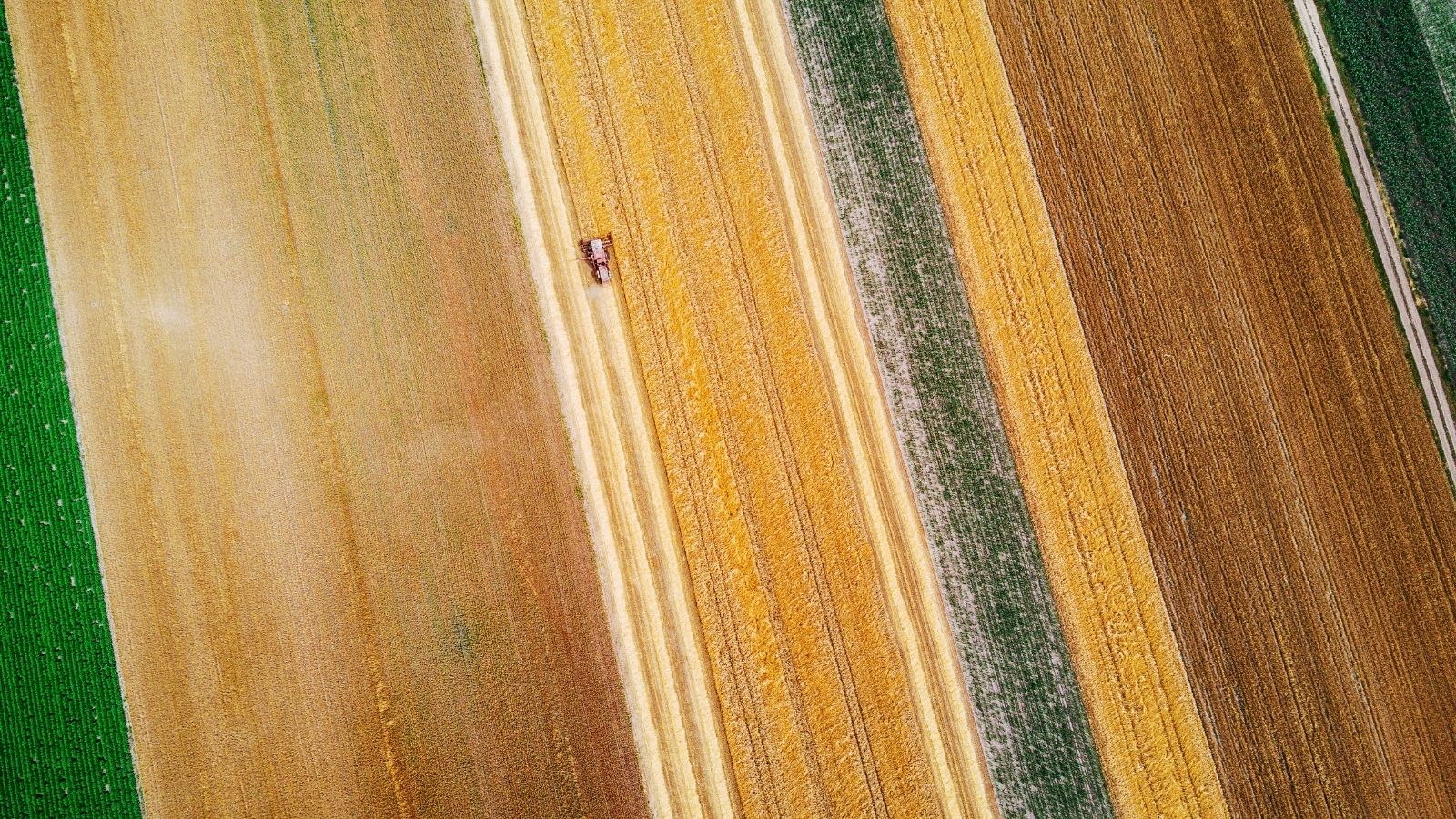 fiore biodiversità agricoltura biologica ISPRA