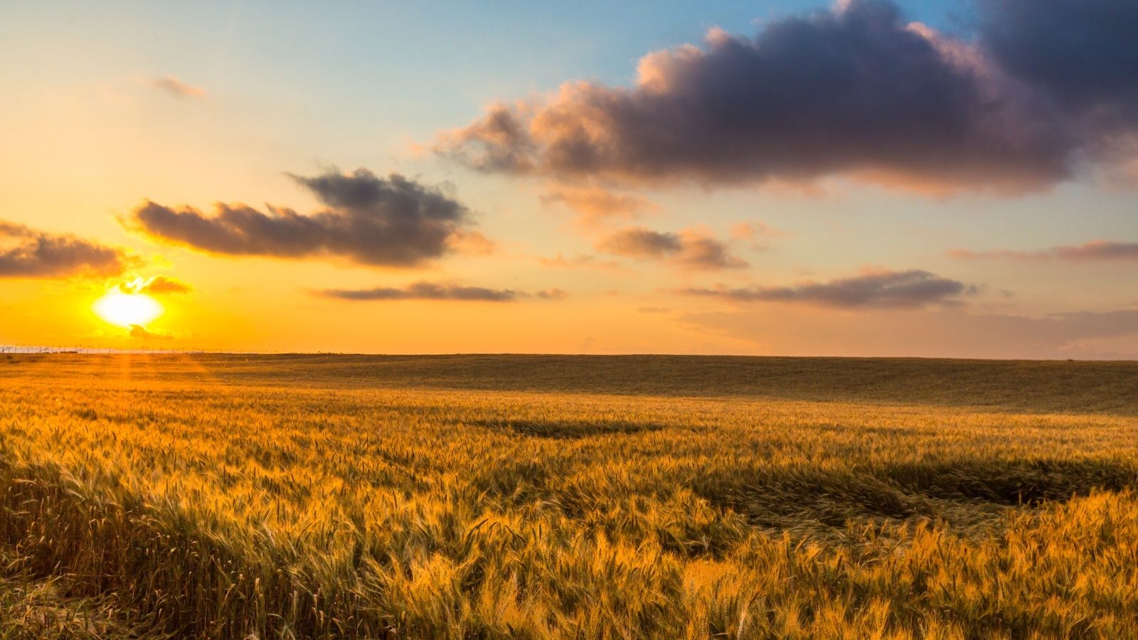 mani sporche terra braccianti lavoro agricolo