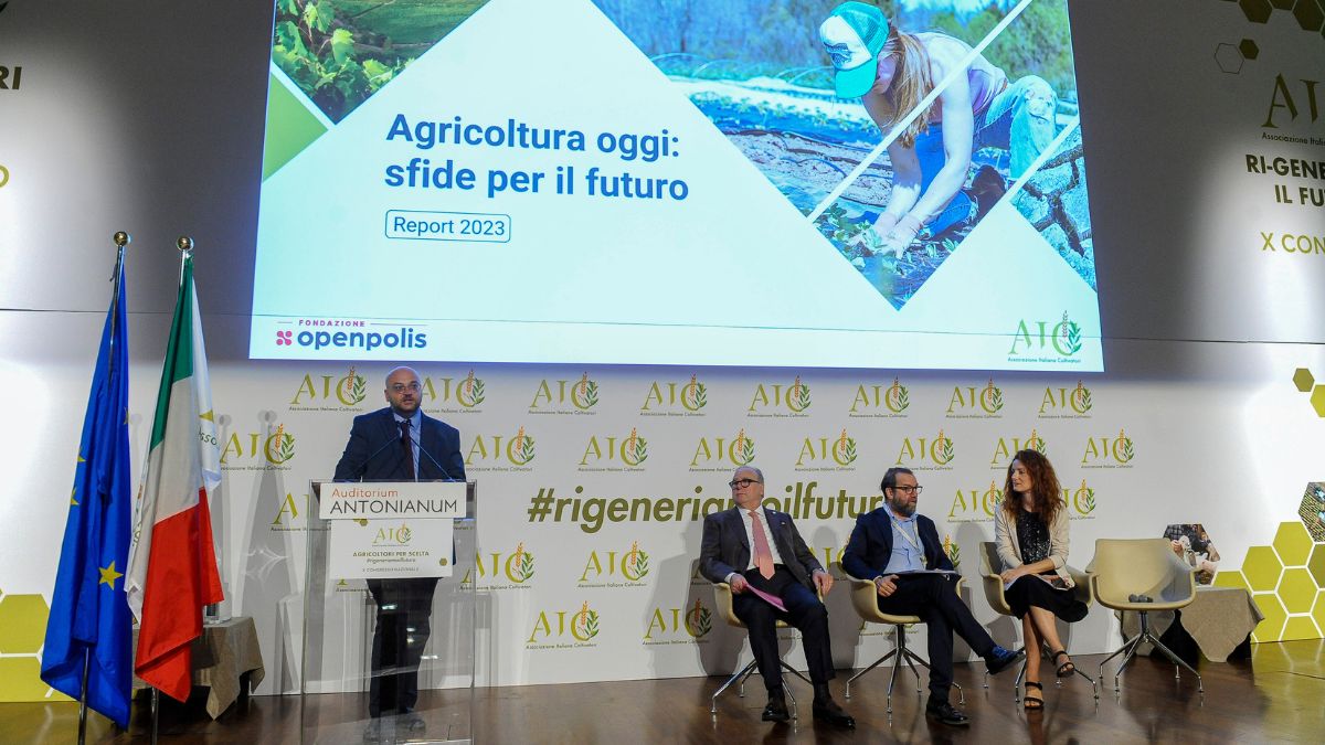 campo, agricoltura, coltivazione, terra
